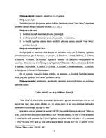 Referāts 'Identitātes veidošanās problēmas "ielas bērniem" pusaudžu vecumā (12.g.-18.g.)', 3.