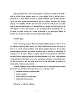 Referāts 'Identitātes veidošanās problēmas "ielas bērniem" pusaudžu vecumā (12.g.-18.g.)', 9.