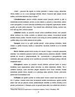 Referāts 'Identitātes veidošanās problēmas "ielas bērniem" pusaudžu vecumā (12.g.-18.g.)', 16.