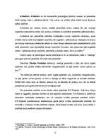 Referāts 'Identitātes veidošanās problēmas "ielas bērniem" pusaudžu vecumā (12.g.-18.g.)', 22.