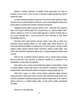 Referāts 'Identitātes veidošanās problēmas "ielas bērniem" pusaudžu vecumā (12.g.-18.g.)', 24.