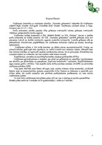 Biznesa plāns 'Biznesa plāns grāmatu veikalam', 2.