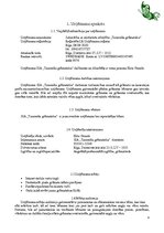 Biznesa plāns 'Biznesa plāns grāmatu veikalam', 4.