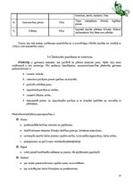 Biznesa plāns 'Biznesa plāns grāmatu veikalam', 13.