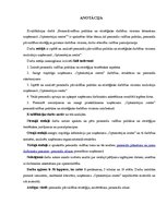 Diplomdarbs 'Personālvadības politikas un stratēģisko darbības virzienu īstenošana uzņēmumā "', 8.