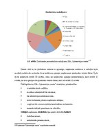Diplomdarbs 'Personālvadības politikas un stratēģisko darbības virzienu īstenošana uzņēmumā "', 32.