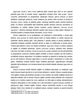 Konspekts 'Apgrozāmie līdzekļi', 2.