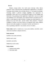 Referāts 'Auzu pārslas', 3.