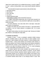 Referāts 'Noziedzīgu nodarījumu par ceļu satiksmes noteikumu pārkāpumiem izmeklēšanas īpat', 13.