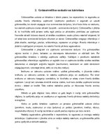 Prakses atskaite 'Grāmatvedības prakses atskaite', 13.