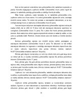 Prakses atskaite 'Grāmatvedības prakses atskaite', 19.