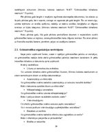 Prakses atskaite 'Grāmatvedības prakses atskaite', 20.