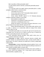 Prakses atskaite 'Grāmatvedības prakses atskaite', 21.