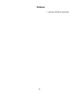 Prakses atskaite 'Grāmatvedības prakses atskaite', 41.