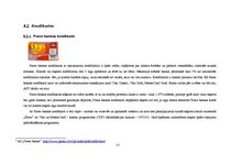 Prakses atskaite 'Prakse a/s "Parex banka" un a/s "BTB"', 31.