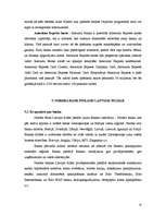 Referāts 'Latvijas banku norēķinu karšu piedāvājuma analīze', 19.