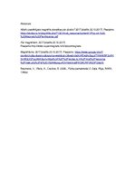 Konspekts 'Konspekts par magnētiem', 3.