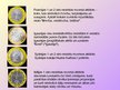 Prezentācija 'Eiro banknotes un monētas', 5.