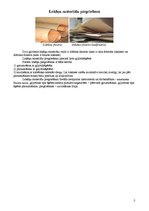 Prezentācija 'Kokmateriālu piegriešana', 5.