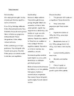 Konspekts 'Politisko režīmu nomaiņu cēloņi', 3.