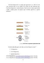 Referāts 'Hologrammu veidi un pielietojums ikdienā', 8.