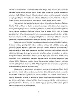 Referāts 'Pozitīva paštēla izveides psiholoģiskie nosacījumi', 17.