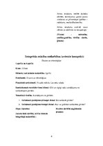 Prakses atskaite 'Integrēto mācību prakse sākumskolā', 8.