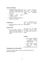 Prakses atskaite 'Integrēto mācību prakse sākumskolā', 9.