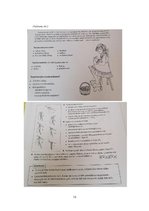 Prakses atskaite 'Integrēto mācību prakse sākumskolā', 13.