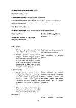 Prakses atskaite 'Integrēto mācību prakse sākumskolā', 16.