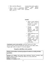 Prakses atskaite 'Integrēto mācību prakse sākumskolā', 17.