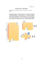 Prakses atskaite 'Integrēto mācību prakse sākumskolā', 21.