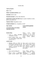 Prakses atskaite 'Integrēto mācību prakse sākumskolā', 24.