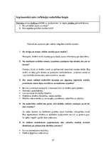 Prakses atskaite 'Integrēto mācību prakse sākumskolā', 27.