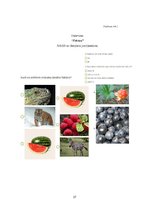 Prakses atskaite 'Integrēto mācību prakse sākumskolā', 37.