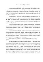 Referāts 'Sērijveida izvarotāju psiholoģiskais raksturojums', 5.