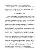 Referāts 'Sērijveida izvarotāju psiholoģiskais raksturojums', 6.