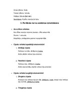 Konspekts 'Nervu sistēmas izmeklēšana', 4.