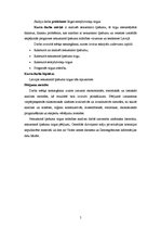 Referāts 'Latvijas nekustamā īpašuma tirgus analīze un attīstība', 5.