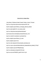 Referāts 'Infekcijas slimību aktualitātes - vēstures liecības un mūsdienu atklājumi', 11.