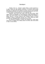 Konspekts 'Cilvēka būtības meklējumi', 9.