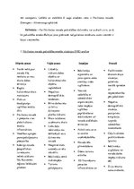 Konspekts 'Tūrisma plānošana un vadība. Pāvilostas novada pašvaldības tūrisma plānošanas te', 4.