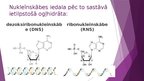 Prezentācija 'Nukleīnskābes', 3.