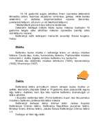 Referāts 'Baltkrievijas ģeogrāfiskais raksturojums', 3.