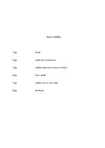 Eseja 'Uzņēmuma raksturojums', 2.