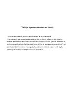 Eseja 'Uzņēmuma raksturojums', 5.