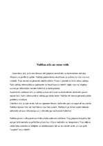 Eseja 'Uzņēmuma raksturojums', 7.