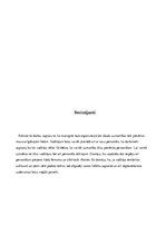 Eseja 'Uzņēmuma raksturojums', 8.