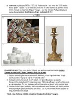 Konspekts 'Konkurss vidusskolēniem vēsturē manas Tēvzemes stāsts – Dvēseļu putenis', 24.