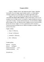 Referāts 'Ķīmiskās vielas un to izmantošana pasaules karos', 8.